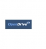 Open Drive Avatar